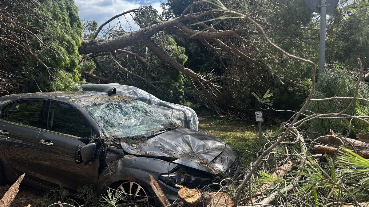 An der Adria-Küste ist jetzt im Hochsommer Hauptsaison. - Foto: Alessio Marini/LPS via ZUMA Press Wire/dpa