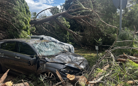 An der Adria-Küste ist jetzt im Hochsommer Hauptsaison. - Foto: Alessio Marini/LPS via ZUMA Press Wire/dpa An der Adria-Küste ist jetzt im Hochsommer Hauptsaison. - Foto: Alessio Marini/LPS via ZUMA Press Wire/dpa