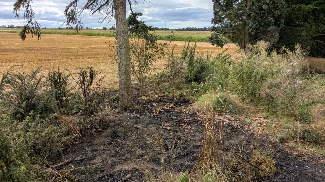 FW Ense: gemeldeter Flächenbrand in Sieveringen / schnelles Eingreifen der Feuerwehr verhindert Schlimmeres - Bild: presseportal.de