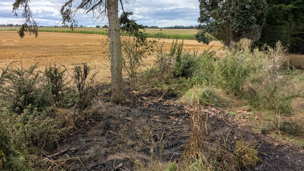 FW Ense: gemeldeter Flächenbrand in Sieveringen / schnelles Eingreifen der Feuerwehr verhindert Schlimmeres - Foto: presseportal.de