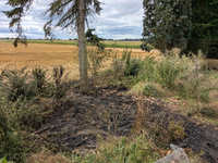 FW Ense: gemeldeter Flächenbrand in Sieveringen / schnelles Eingreifen der Feuerwehr verhindert Schlimmeres - Foto: presseportal.de