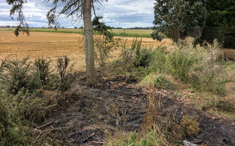 FW Ense: gemeldeter FlÀchenbrand in Sieveringen / schnelles Eingreifen der Feuerwehr verhindert Schlimmeres - Foto: presseportal.de FW Ense: gemeldeter FlÀchenbrand in Sieveringen / schnelles Eingreifen der Feuerwehr verhindert Schlimmeres - Foto: presseportal.de