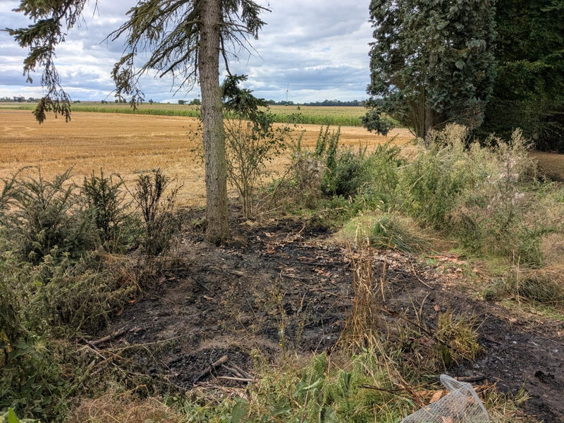 FW Ense: gemeldeter Flächenbrand in Sieveringen / schnelles Eingreifen der Feuerwehr verhindert Schlimmeres - Foto: presseportal.de