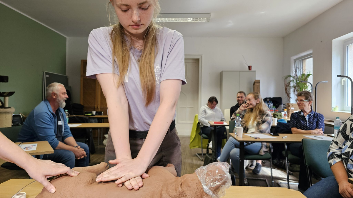 Hund «Puma» erhält im Erste-Hilfe-Kurs in Halle einen Kopfverband. - Foto: Mike Müller/dpa