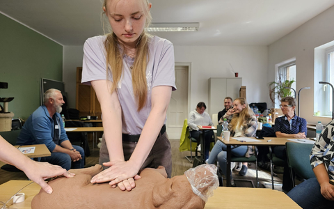 Hund «Puma» erhält im Erste-Hilfe-Kurs in Halle einen Kopfverband. - Foto: Mike Müller/dpa