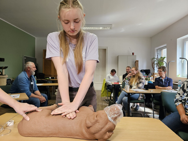 Hund «Puma» erhält im Erste-Hilfe-Kurs in Halle einen Kopfverband. - Foto: Mike Müller/dpa