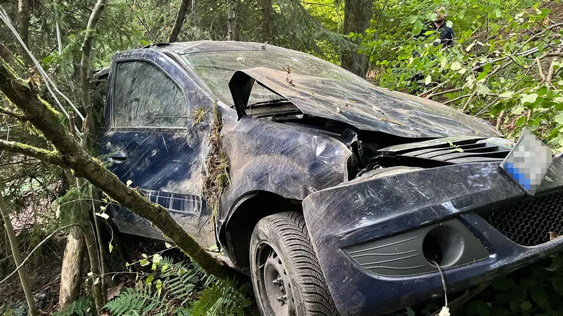 POL-GM: 64-Jähriger landet mit Auto im Dickicht - Bild: presseportal.de