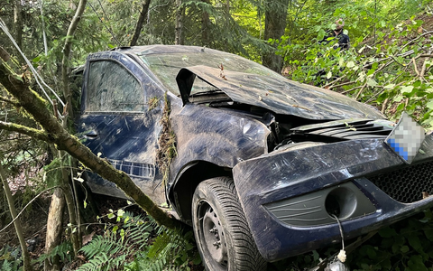 POL-GM: 64-Jähriger landet mit Auto im Dickicht - Foto: presseportal.de