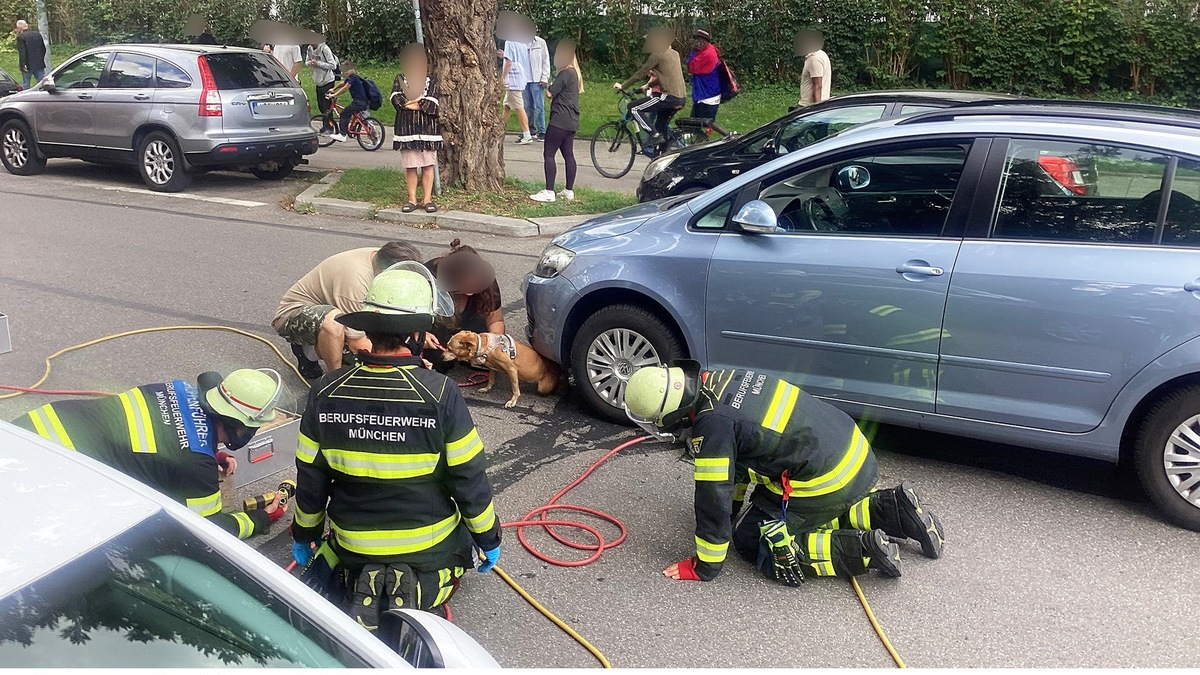 FW-M: Wochenendrückblick der Feuerwehr München für den 22. bis 24. August 2025 - Foto: presseportal.de