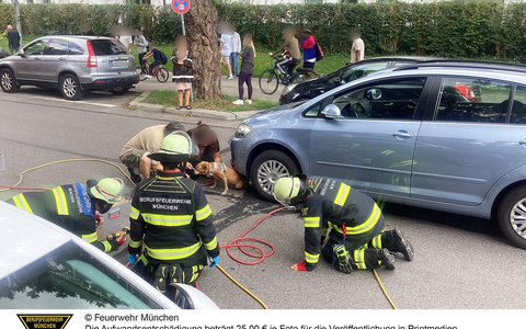 FW-M: Wochenendrückblick der Feuerwehr München für den 22. bis 24. August 2025 - Foto: presseportal.de