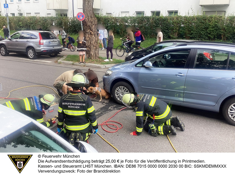 FW-M: Wochenendrückblick der Feuerwehr München für den 22. bis 24. August 2025 - Foto: presseportal.de