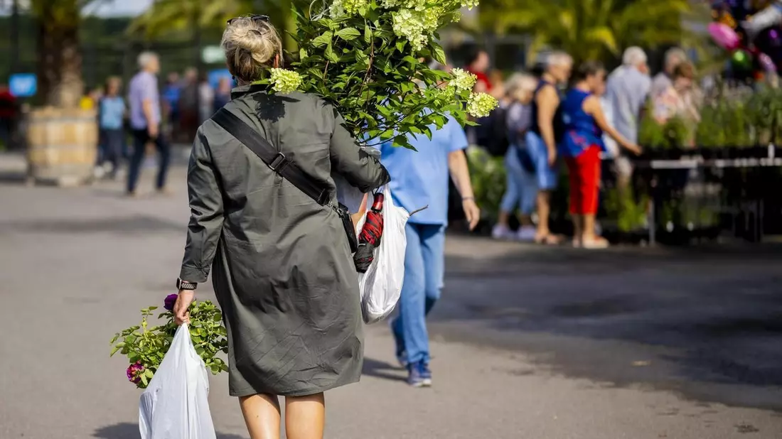 Blütenspektakel und ein egapark-Wochenende zum günstigen Spezialpreis - Bild: presseportal.de