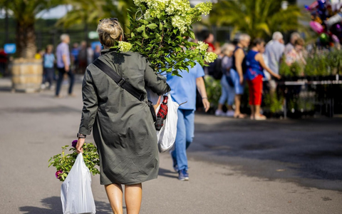 Blütenspektakel und ein egapark-Wochenende zum günstigen Spezialpreis - Foto: presseportal.de