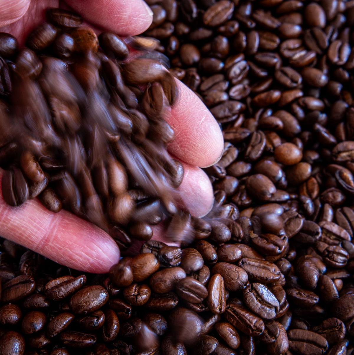 Kaffee war im August deutlich teurer als ein Jahr zuvor. (Archivbild) - Foto: Jens Büttner/dpa