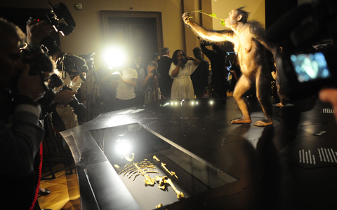 Das Vormenschen-Fossil Lucy aus Äthiopien ist erstmals in Europa zu sehen. Die Ausstellung im Nationalmuseum in Prag ist nur bis zum 23. Oktober geöffnet. - Foto: Michael Heitmann/dpa