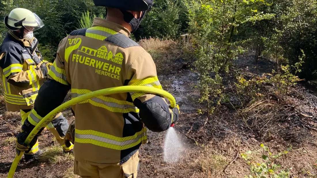 FW-EN: 50 m² Unterholz brennen im Wald - Feuerwehr Herdecke und Feuerwehr Wetter (Ruhr) im Einsatz. - Bild: presseportal.de