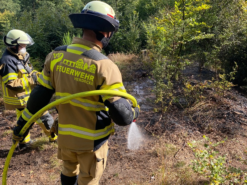 FW-EN: 50 m² Unterholz brennen im Wald - Feuerwehr Herdecke und Feuerwehr Wetter (Ruhr) im Einsatz. - Foto: presseportal.de
