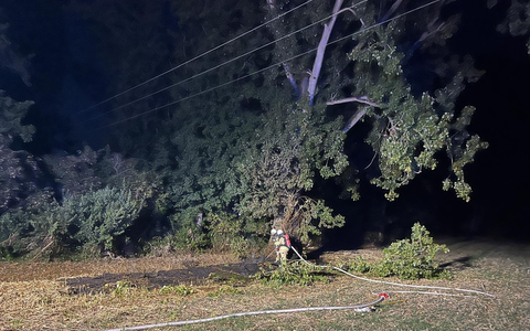 FW Rheurdt: Abgebrochener Ast verursacht Brand und flächendeckenden Stromausfall - Foto: presseportal.de