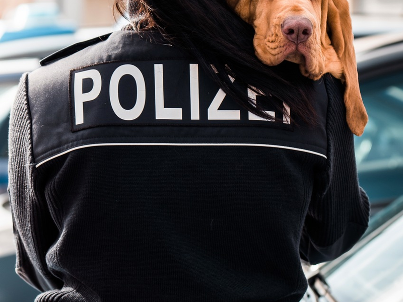 LPI-EF: Schnuppertag in Sömmerda mit Polizeihunden zum Anfassen - Foto: presseportal.de