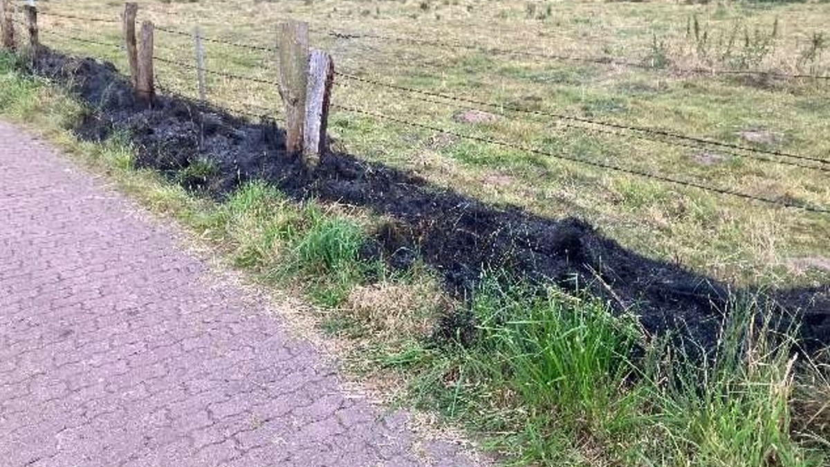 POL-ROW: ++ Scheeßel: Polizei ermittelt nach Graffiti-Schmierereien - Zeugen gesucht ++ Rotenburg: Brand auf Kuhweide - Polizei ermittelt ++ - Foto: presseportal.de