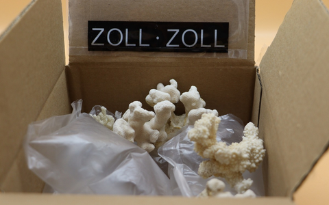 HZA-MS: Zollamt findet Korallen im Paket / Mann bekam geschützte Tierart aus den USA geschickt - Foto: presseportal.de