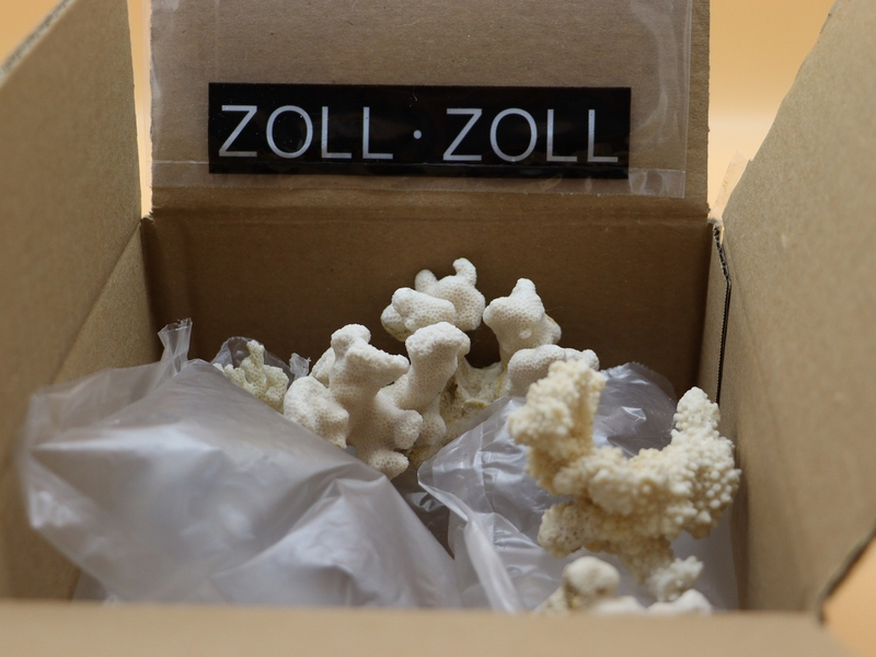 HZA-MS: Zollamt findet Korallen im Paket / Mann bekam geschützte Tierart aus den USA geschickt - Foto: presseportal.de