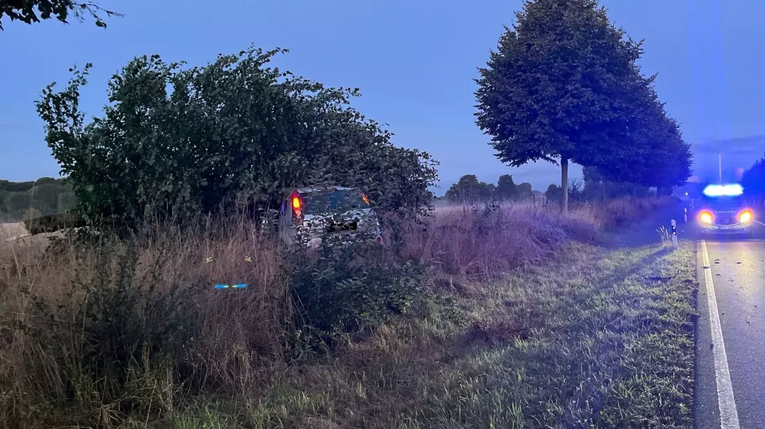 POL-MI: Autofahrer kracht gegen Baum - Bild: presseportal.de