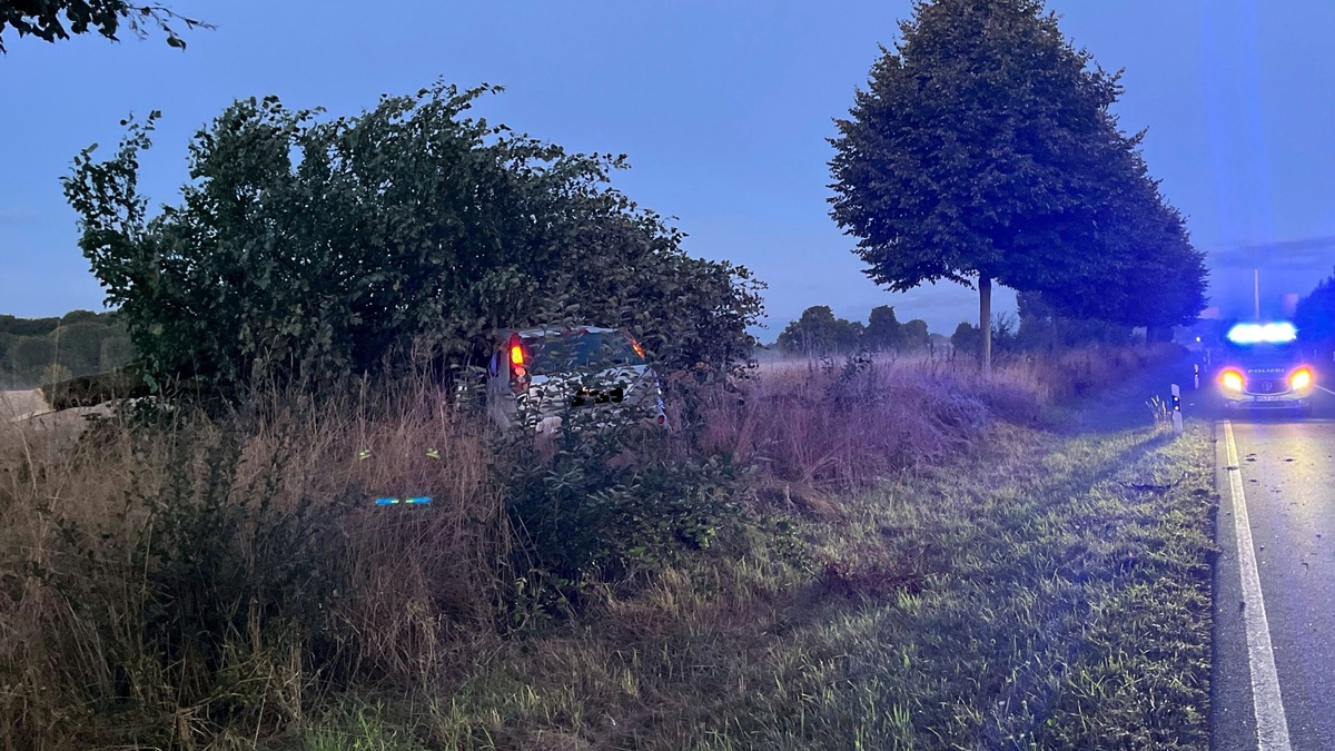 POL-MI: Autofahrer kracht gegen Baum - Foto: presseportal.de