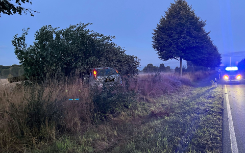 POL-MI: Autofahrer kracht gegen Baum - Foto: presseportal.de