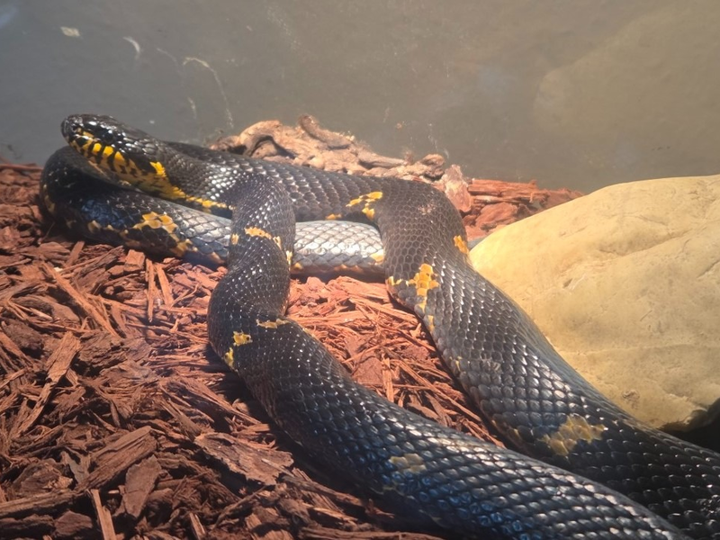 POL-LG: ++ Jugendlicher entwendet Sparbüchse aus Wohnhaus ++ Ladendieb von Mitarbeitern aufgehalten ++ abgestellter Pkw in Vollbrand - Feuer greift auf weitere Fahrzeuge über - Feuerwehr im Löscheinsatz ++ - Foto: presseportal.de