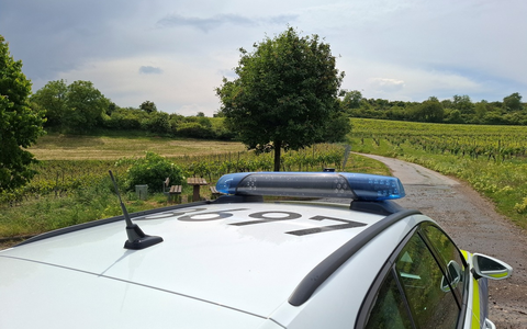 POL-PDNW: Joint geraucht und losgefahren - Foto: presseportal.de