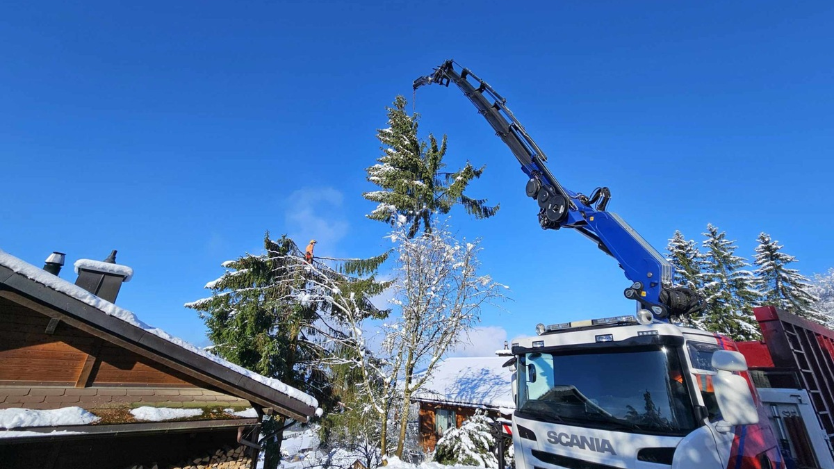 SPEZ AG: Professionelle Baumfällung und nachhaltige Baumpflege in Zürich, St. Gallen und am Zürichsee - Foto: presseportal.de