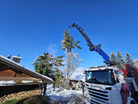 SPEZ AG: Professionelle Baumfällung und nachhaltige Baumpflege in Zürich, St. Gallen und am Zürichsee - Foto: presseportal.de
