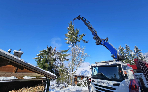 SPEZ AG: Professionelle Baumfällung und nachhaltige Baumpflege in Zürich, St. Gallen und am Zürichsee - Foto: presseportal.de