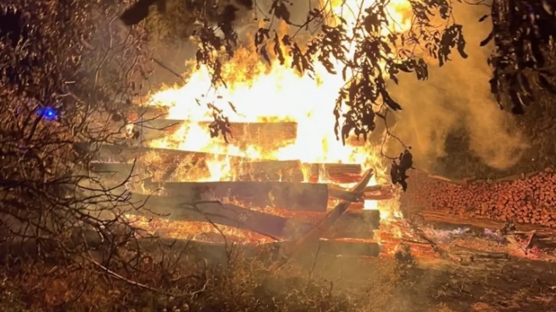 POL-PDLD: Kirrweiler - Brand von Baumstämmen - Bild: presseportal.de