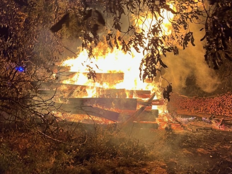 POL-PDLD: Kirrweiler - Brand von Baumstämmen - Foto: presseportal.de