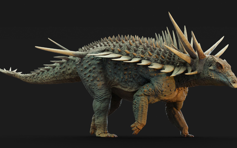 Besonders auffällig ist der Nacken des Tiers. Er hat fünf Stacheln, von denen mindestens zwei fast einen Meter lang sind. - Foto: Matthew Dempsey/-/dpa