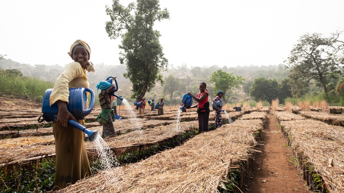Stiftung Menschen für Menschen: Warum regenerativer Anbau der einzige Weg aus der Kaffeekrise ist - Foto: presseportal.de