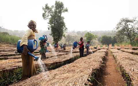 Stiftung Menschen fĂŒr Menschen: Warum regenerativer Anbau der einzige Weg aus der Kaffeekrise ist - Foto: presseportal.de Stiftung Menschen fĂŒr Menschen: Warum regenerativer Anbau der einzige Weg aus der Kaffeekrise ist - Foto: presseportal.de