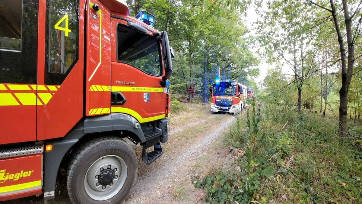 FW Lügde: Waldbrand zwischen Elbrinxen und Henkenbrink - Foto: presseportal.de