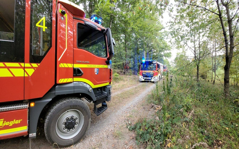 FW Lügde: Waldbrand zwischen Elbrinxen und Henkenbrink - Foto: presseportal.de
