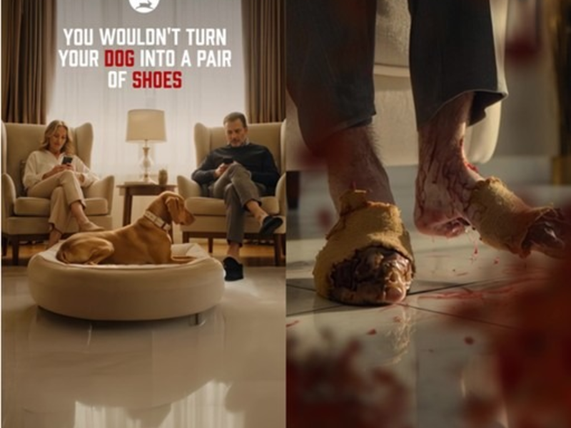 PETA schockiert mit blutigem KI-Video: Der geliebte Hund wird für Lederschuhe in Stücke gerissen - Foto: presseportal.de