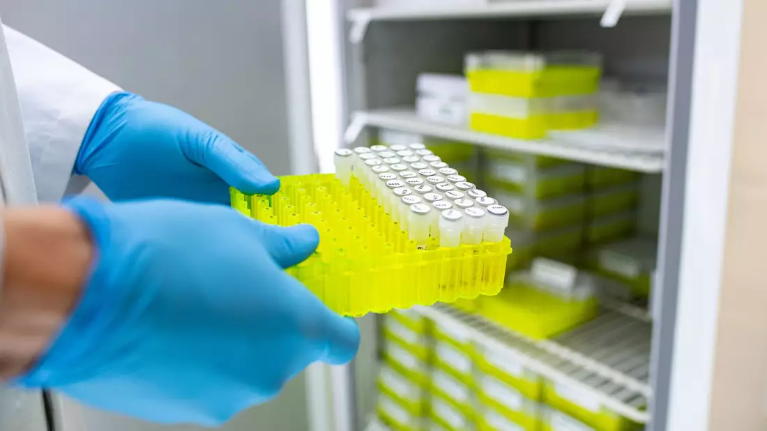 Ehec steht für enterohämorrhagische Escherichia coli und bezeichnet bestimmte krankmachende Stämme dieses im Darm vorkommenden Bakteriums. - Bild: Guido Kirchner/dpa