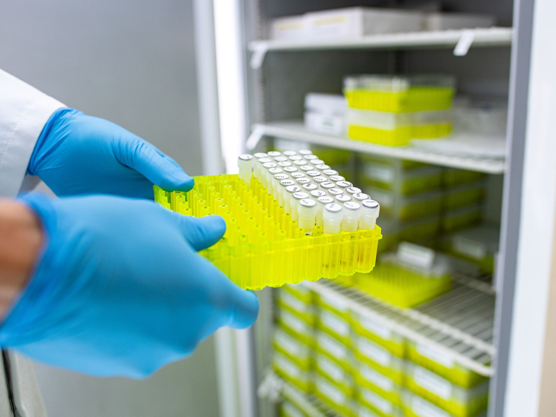 Ehec steht für enterohämorrhagische Escherichia coli und bezeichnet bestimmte krankmachende Stämme dieses im Darm vorkommenden Bakteriums. - Foto: Guido Kirchner/dpa