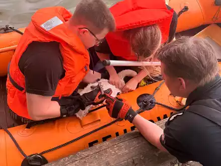 FW-DT: Jungschwan aus misslicher Lage gerettet - Foto: presseportal.de
