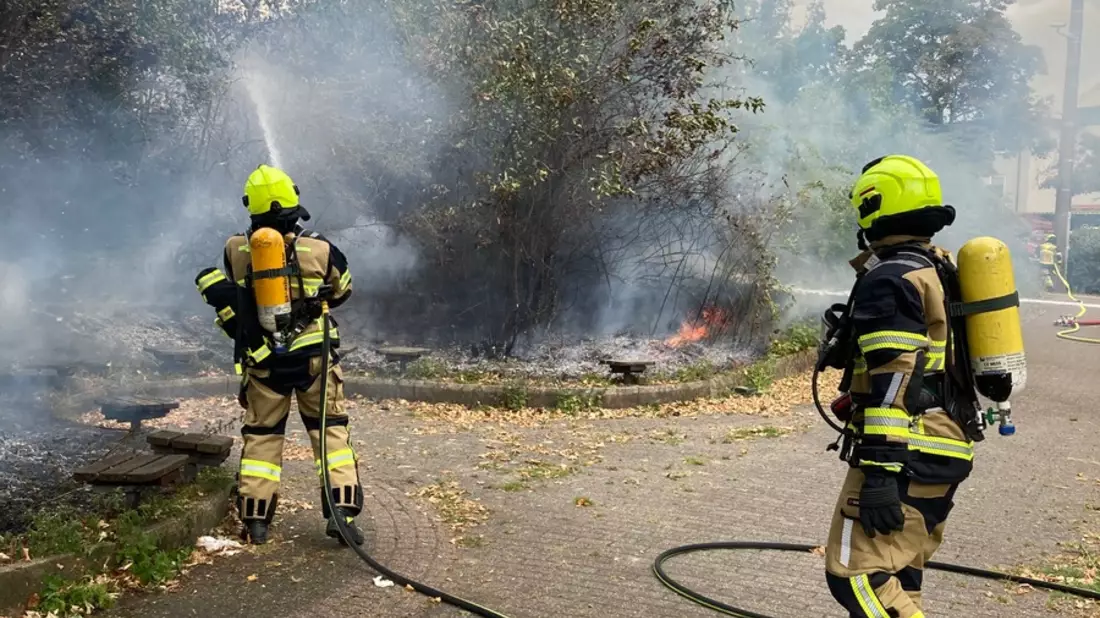 FW-OB: Vegetationsbrand an Kreuzung erfolgreich gelöscht - Ausbreitung verhindert - Bild: presseportal.de