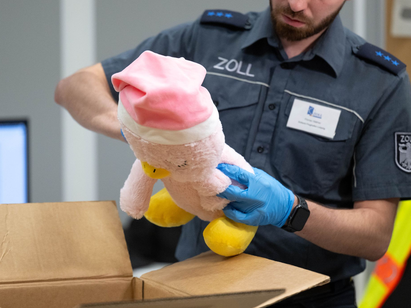 Im vergangenen Jahr schritten die Zollbehörden in der EU laut einem Bericht knapp 400.000 Mal ein und führten Dokumentenkontrollen, physische Kontrollen oder Labortests durch. (Symbolbild) - Foto: Hendrik Schmidt/dpa