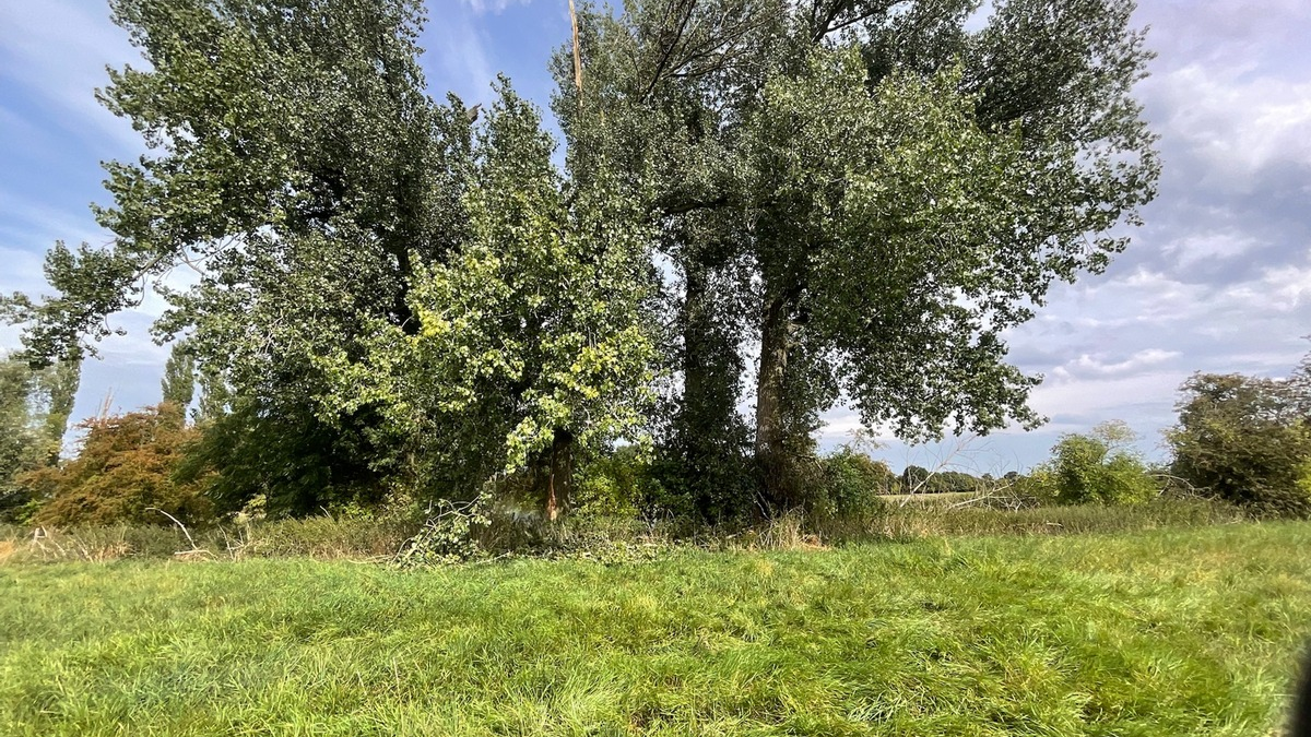 FW Alpen: Vegetationsbrand nach Blitzschlag - Foto: presseportal.de