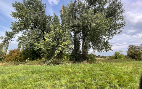 FW Alpen: Vegetationsbrand nach Blitzschlag - Foto: presseportal.de FW Alpen: Vegetationsbrand nach Blitzschlag - Foto: presseportal.de