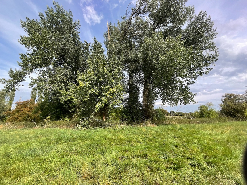 FW Alpen: Vegetationsbrand nach Blitzschlag - Foto: presseportal.de